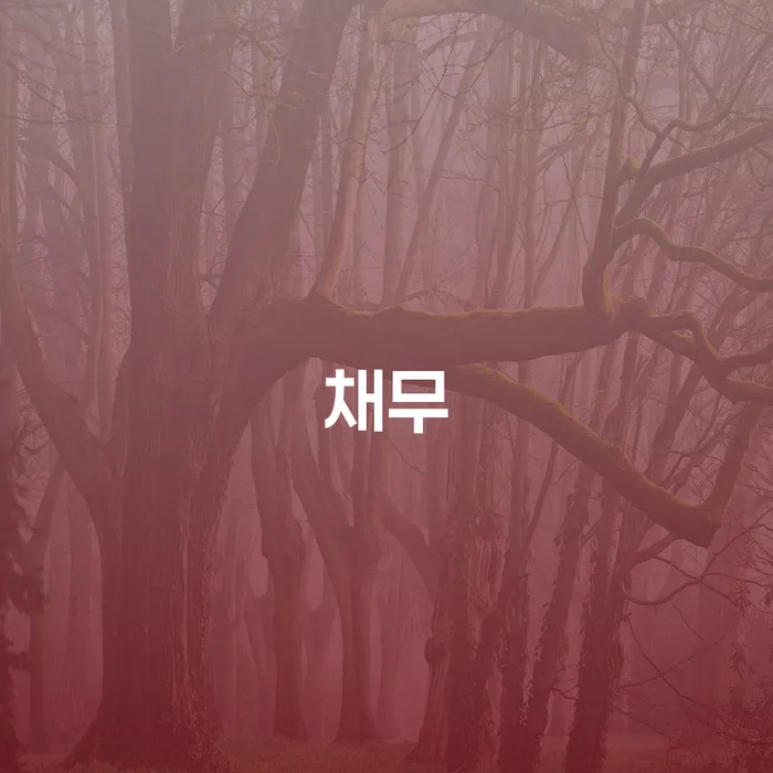 개인회생상담 개인회생 문제해결방법 진행방안