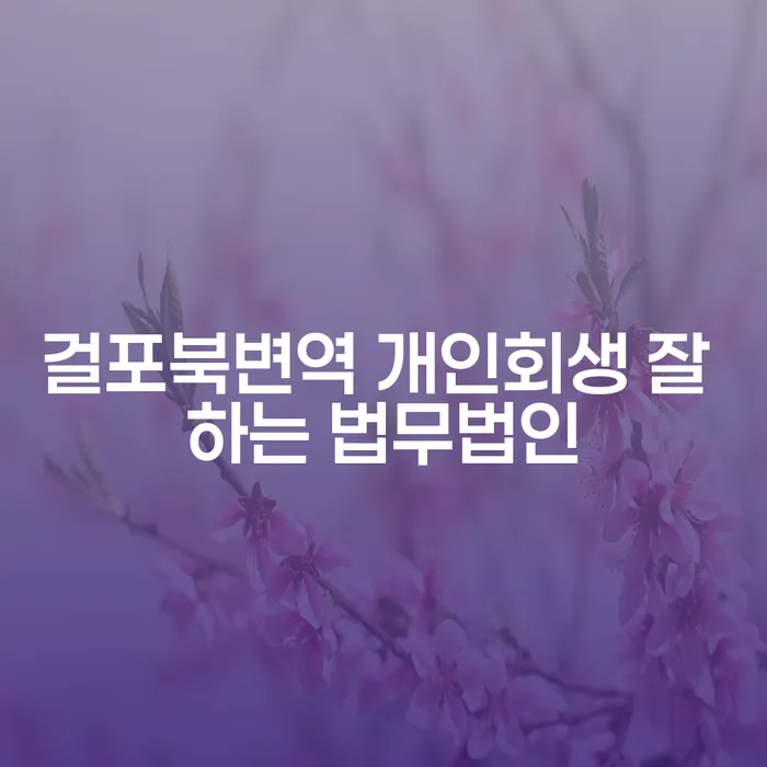 걸포북변역 개인회생 잘 하는 법무법인
