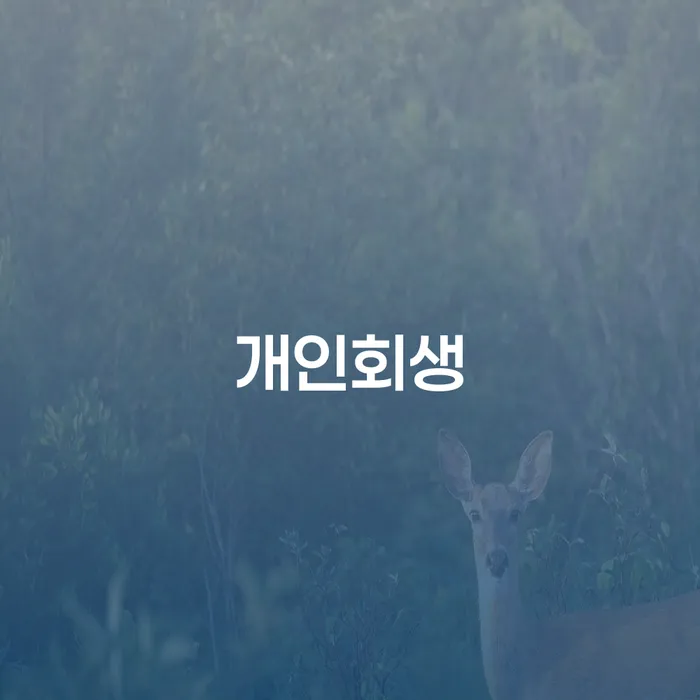 금호동 개인회생 절차와 사례를 통한 새로운 시작