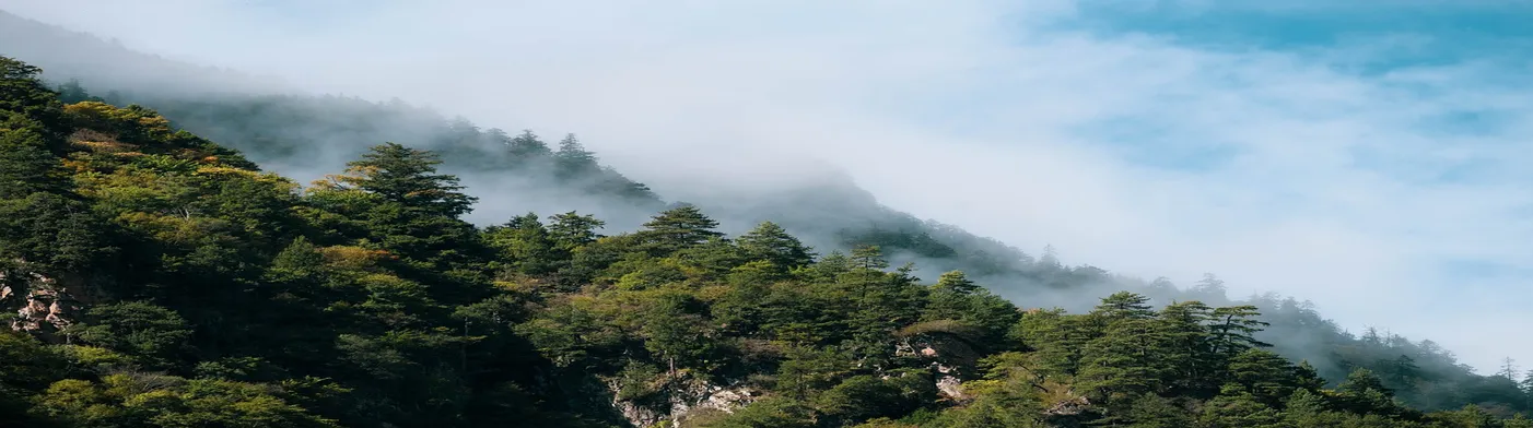 법무법인 서앤율