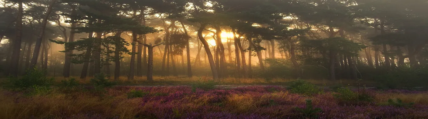 법무법인 서앤율