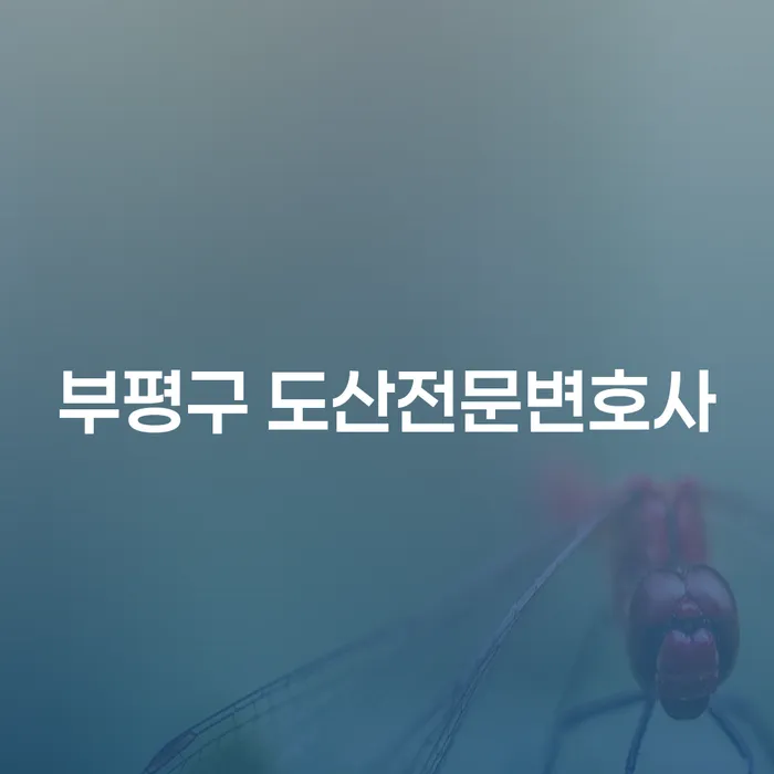 부평구 도산전문변호사와 개인회생, 당신의 금융 부담을 줄일 수 있을까요?