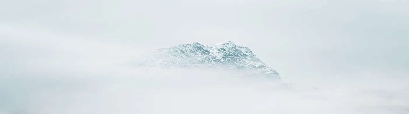 법무법인 서앤율