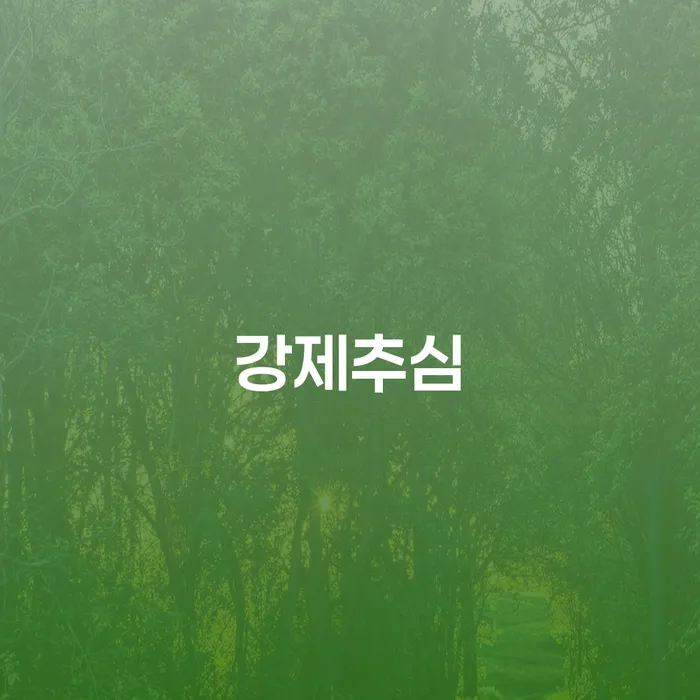 강제추심을 피하는 법: 투자 실패 후 1억원 이상의 개인회생 방법은?
